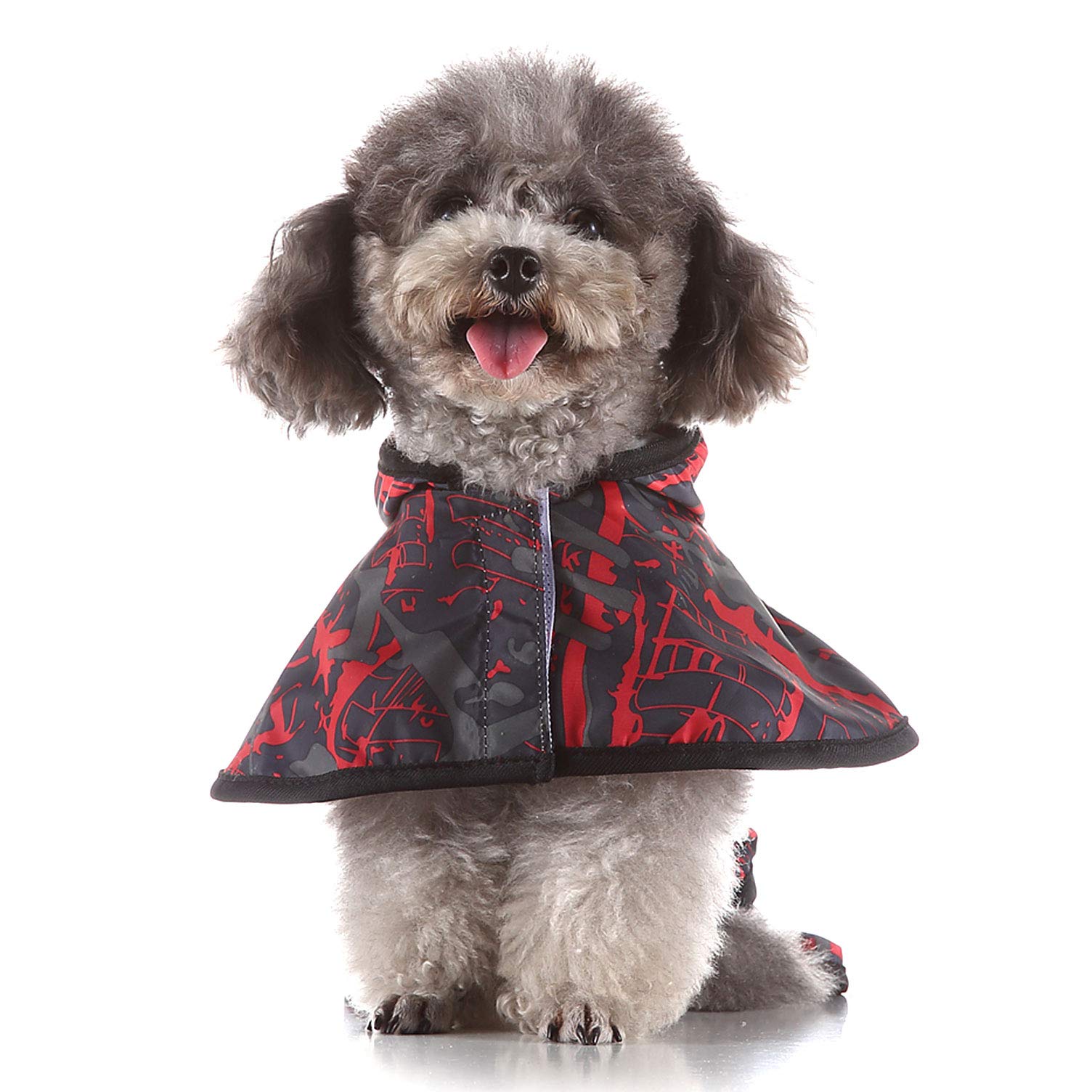 Niedliche Hunde Regenjacke - Transparenter Poncho Mit Kapuze