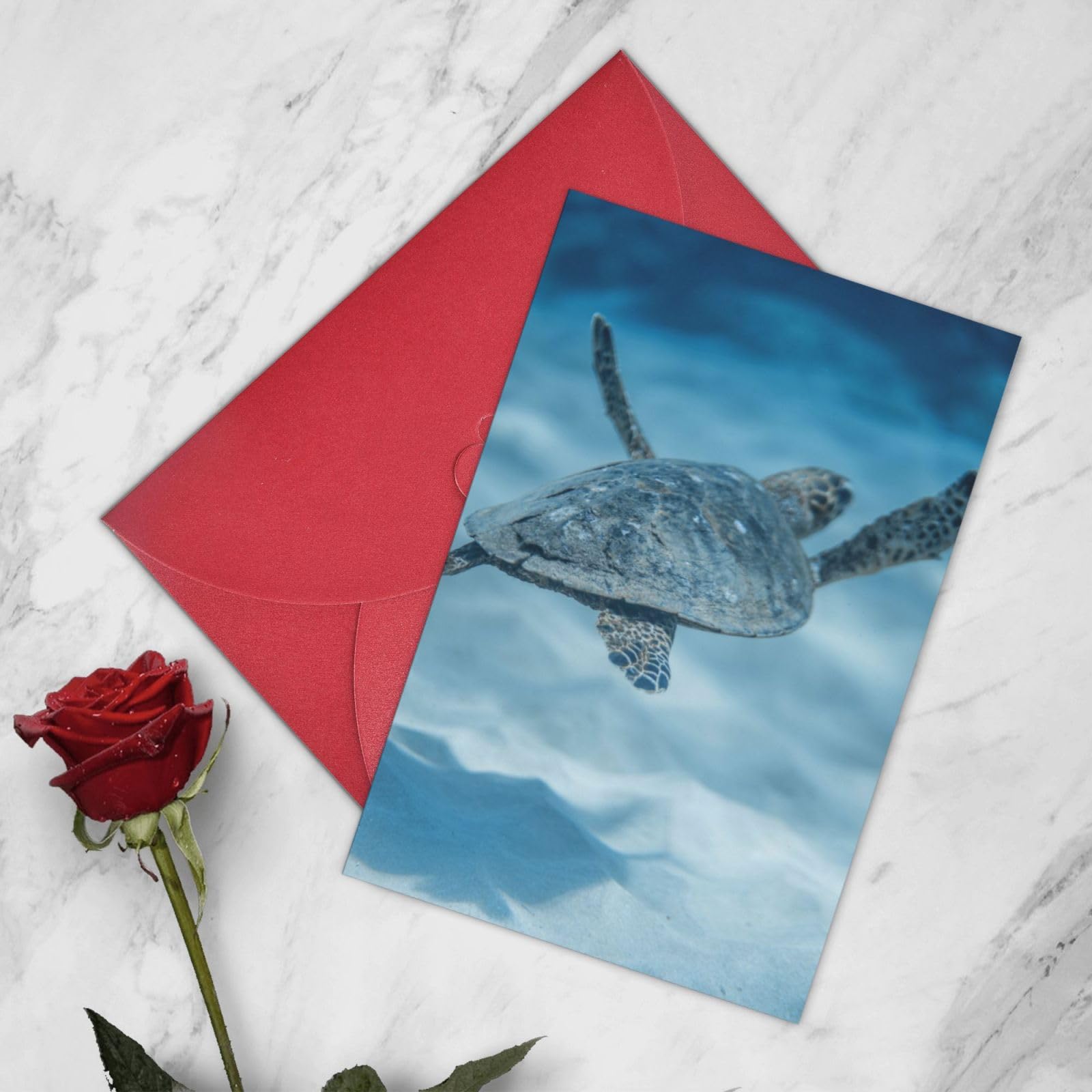 PEIXEN Biglietto di auguri con pesci di mare e corallo, biglietto di auguri di compleanno, con buste decorative, biglietto di auguri vuoto, 10,2 x 15,2 cm, divertente biglietto di ringraziamento per