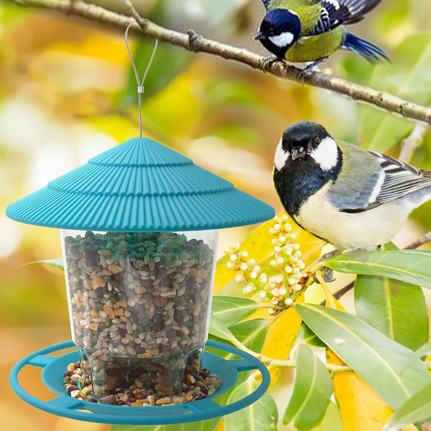 Mangiatoia da appendere per uccelli selvatici, mangiatoia per giardino, semi di girasole, cuore, arachidi e nocciole, per attirare dunnocks, blu