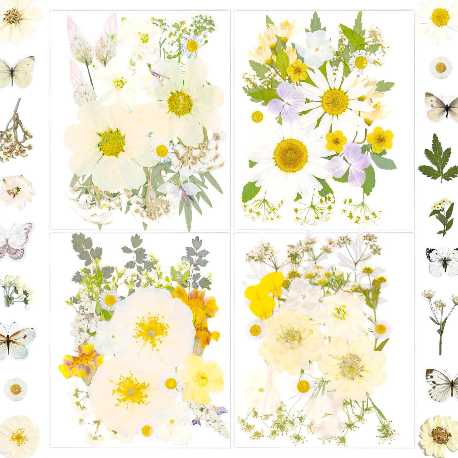 LUCISKY 130Pcs White Pressed Dried Flowers and Butterfly - dried and preserved flora | Mubboo