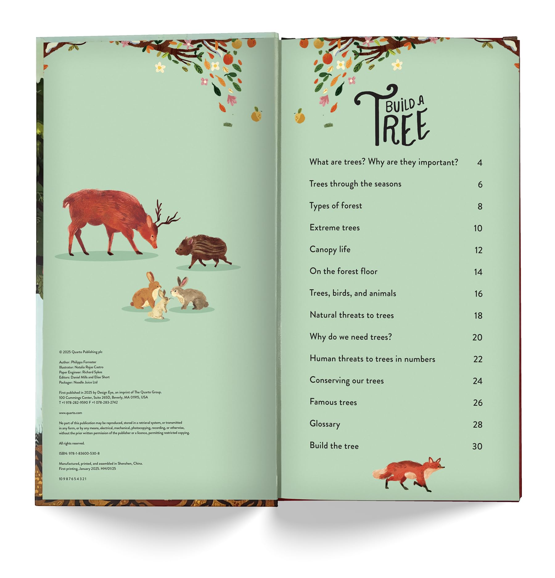 Make and Play: Build A Tree: Build a 30cm Oak Tree! Includes a 32-page Book and 40+ Model Pieces