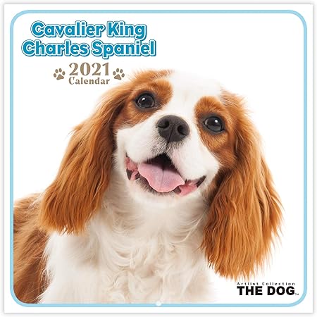Amazon The Dog 21年 ミニカレンダー キャバリア キング チャールズ スパニエル カレンダー 文房具 オフィス用品 Amazon The Dog 21年 ミニカレンダー キャバリア キング チャールズ スパニエル カレンダー 文房具 オフィス用品