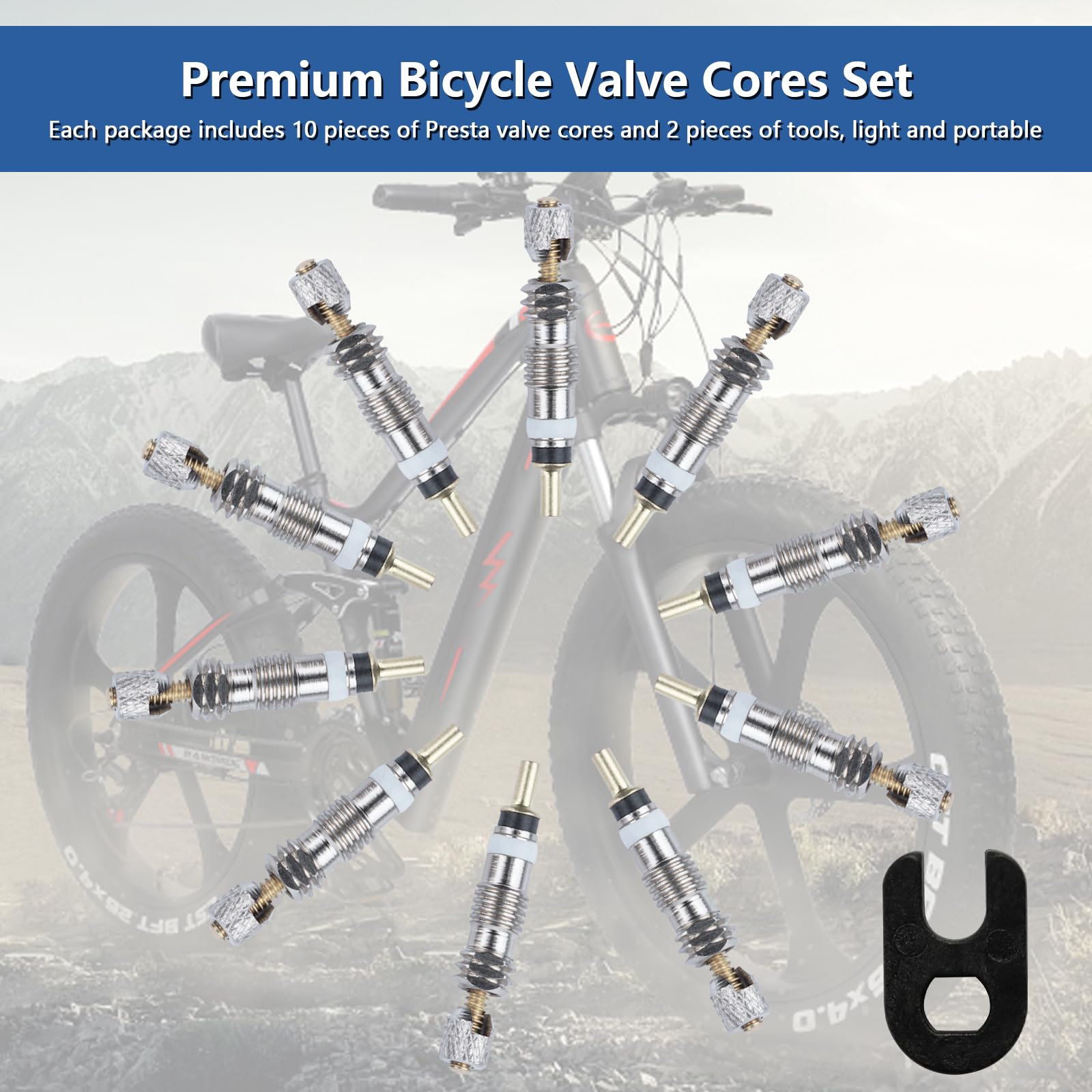 11-teiliges Presta-Ventilkerne-Set Mit Werkzeug – Für Fahrrad – Universal – Flintronic