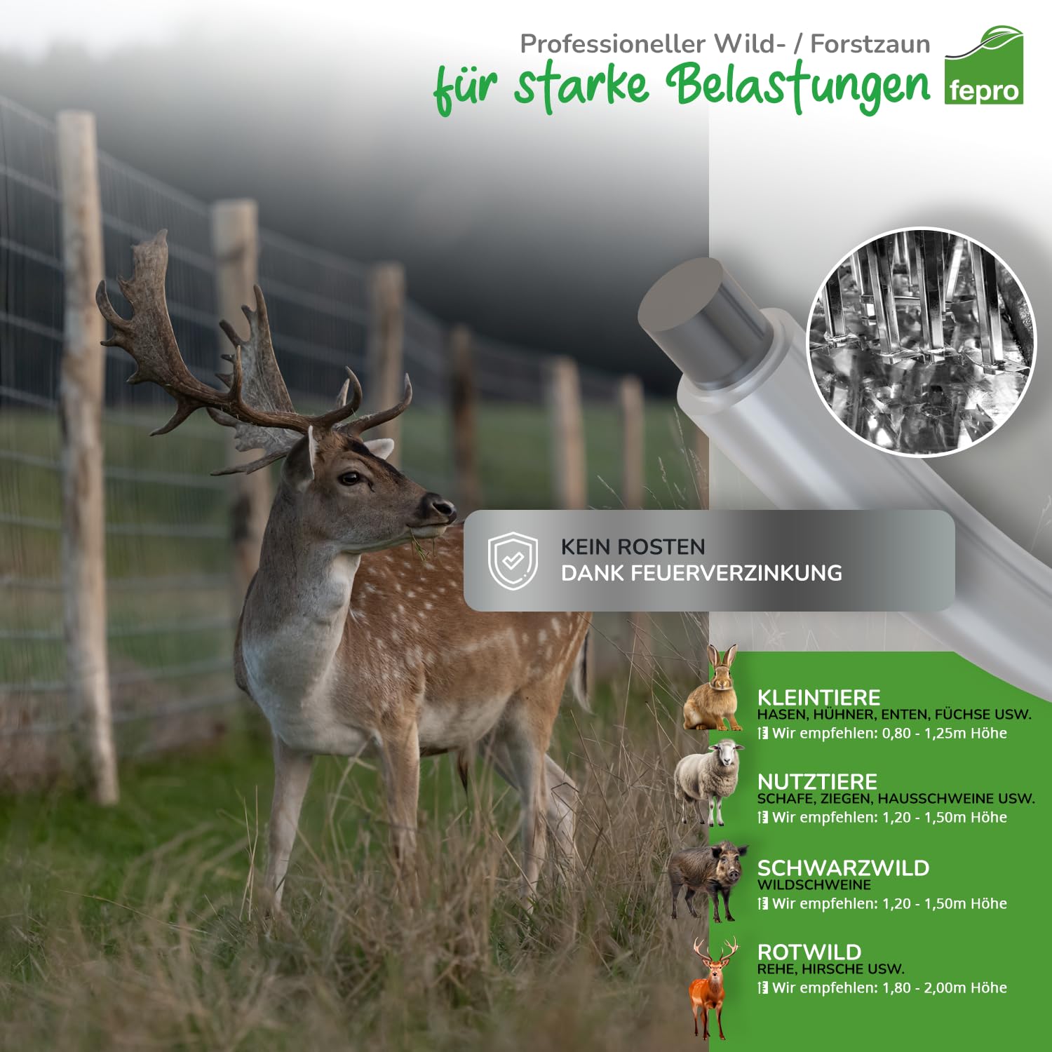 Panorama24 Wildzaun 150/13/15 50m Gartenzaun, Wildzaun, Weidezaun, Forstzaun, Drahtzaun, Knotengeflecht, STARK GEGEN Hirsche, Rehe, Wildschweine, Dachse, Hasen & mehr Wildtiere & Schadtiere