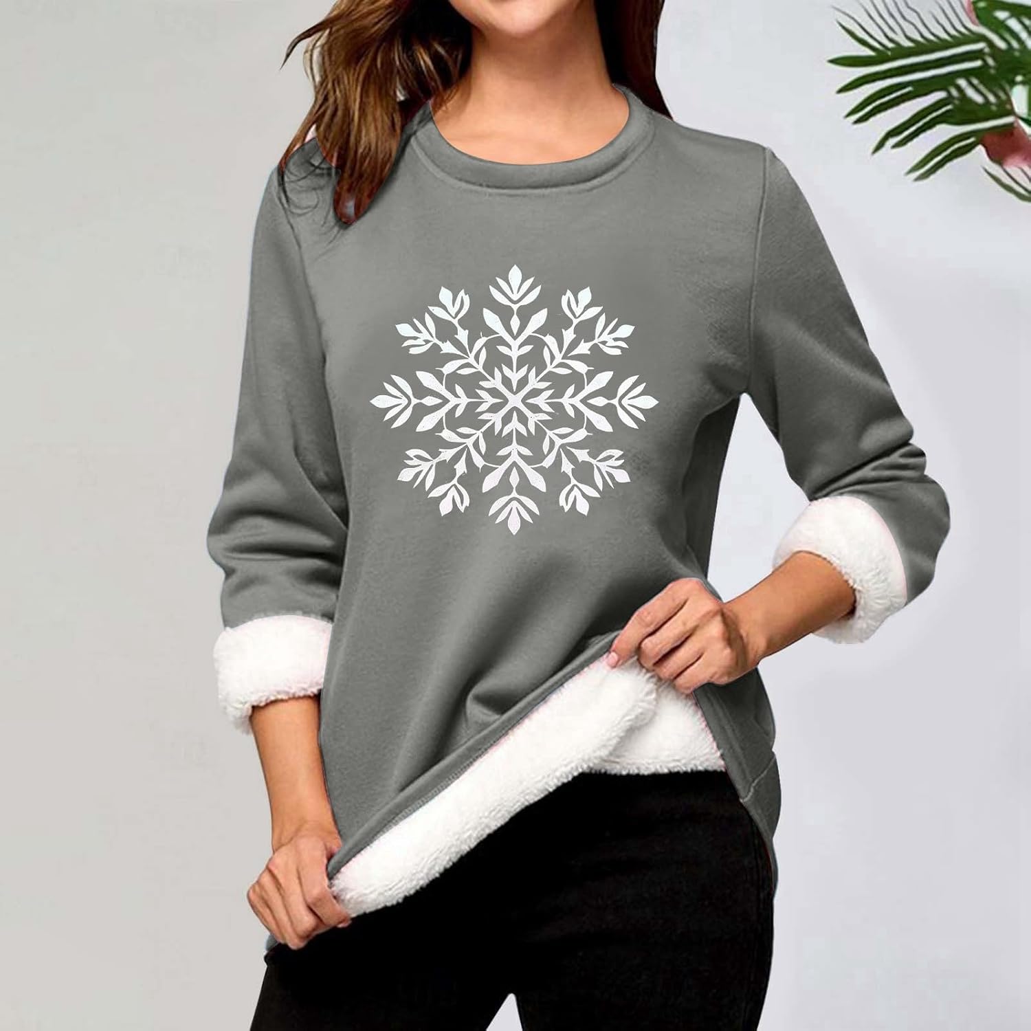 中国画 文徴明 麻寿図 四尺中堂 掛け軸／防偽証書付き 中国画 文徴明 麻寿図 四尺中堂 掛け軸／防偽証書付き