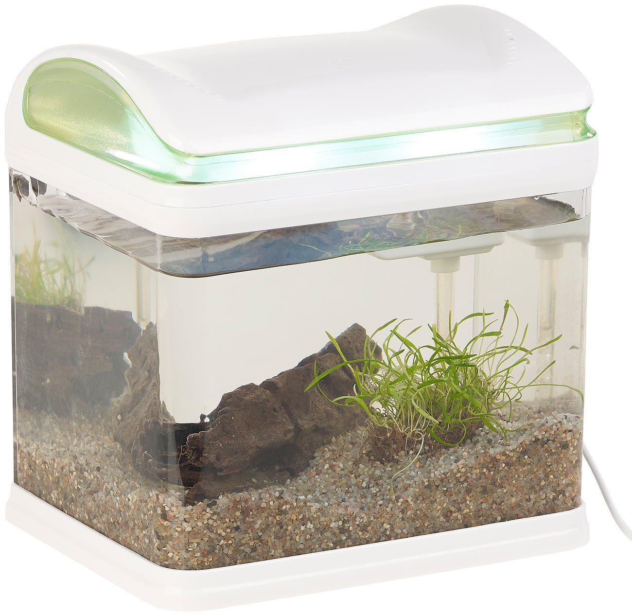 Aquarium: Transport-Fischbecken mit Filter, LED-Beleuchtung und USB, 3,3 Liter (Mini Aquarium, USB, Glas)