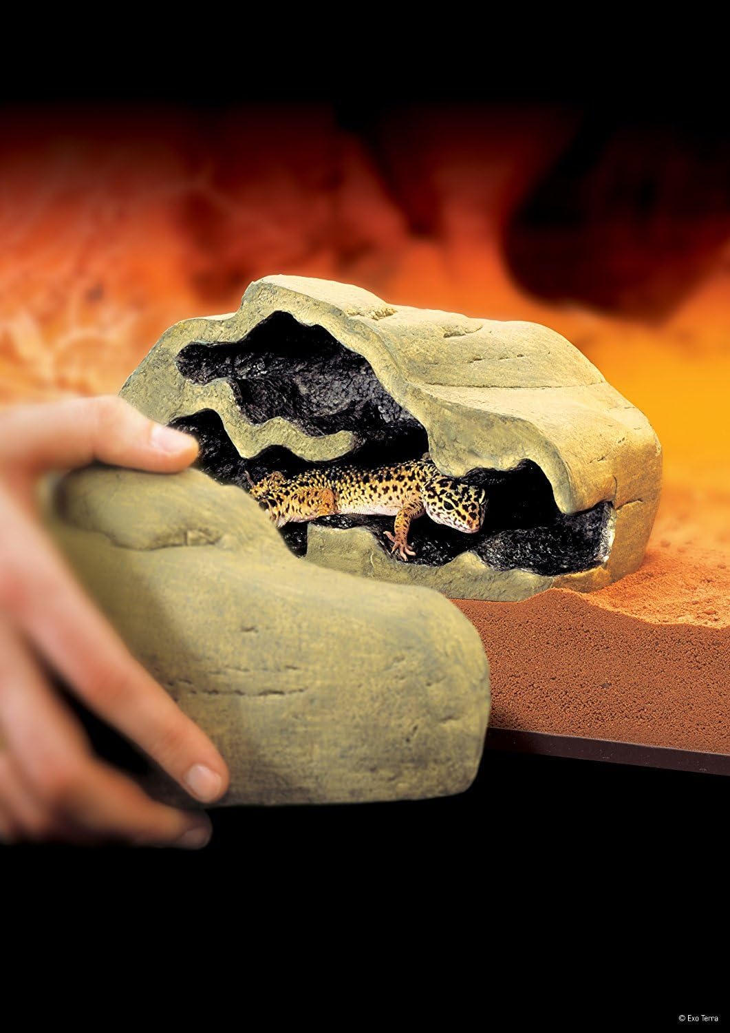 Exo Terra Reptile Den, Hideout Tunnel System for Terrariums, Small, PT2861