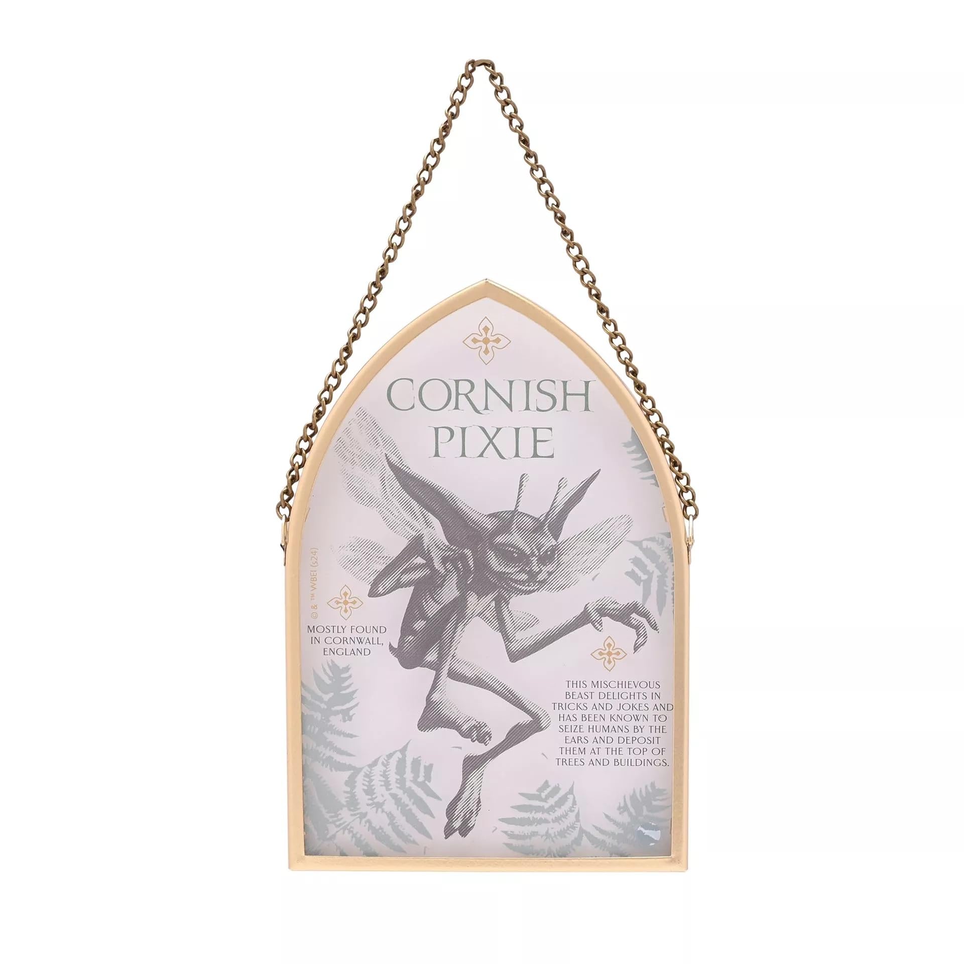 Widdop And Co Transparent Warner Bros Harry Potter Herbology Arch Plaque - Cornish Pixie, Glass Wall Decoration With Chain Hanger, Collectible Fantasy Theme