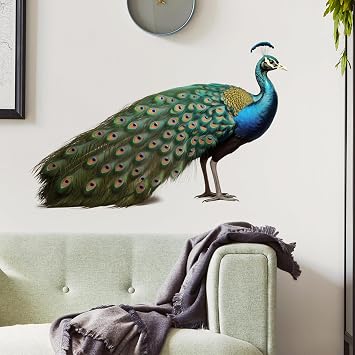 Standing Peacock Bird Wall Decal Animal Wall Sticker | Removable, waterproof, vinyl peel and stick wall art for nursery, baby room, classroom, preschool, living room, and playroom