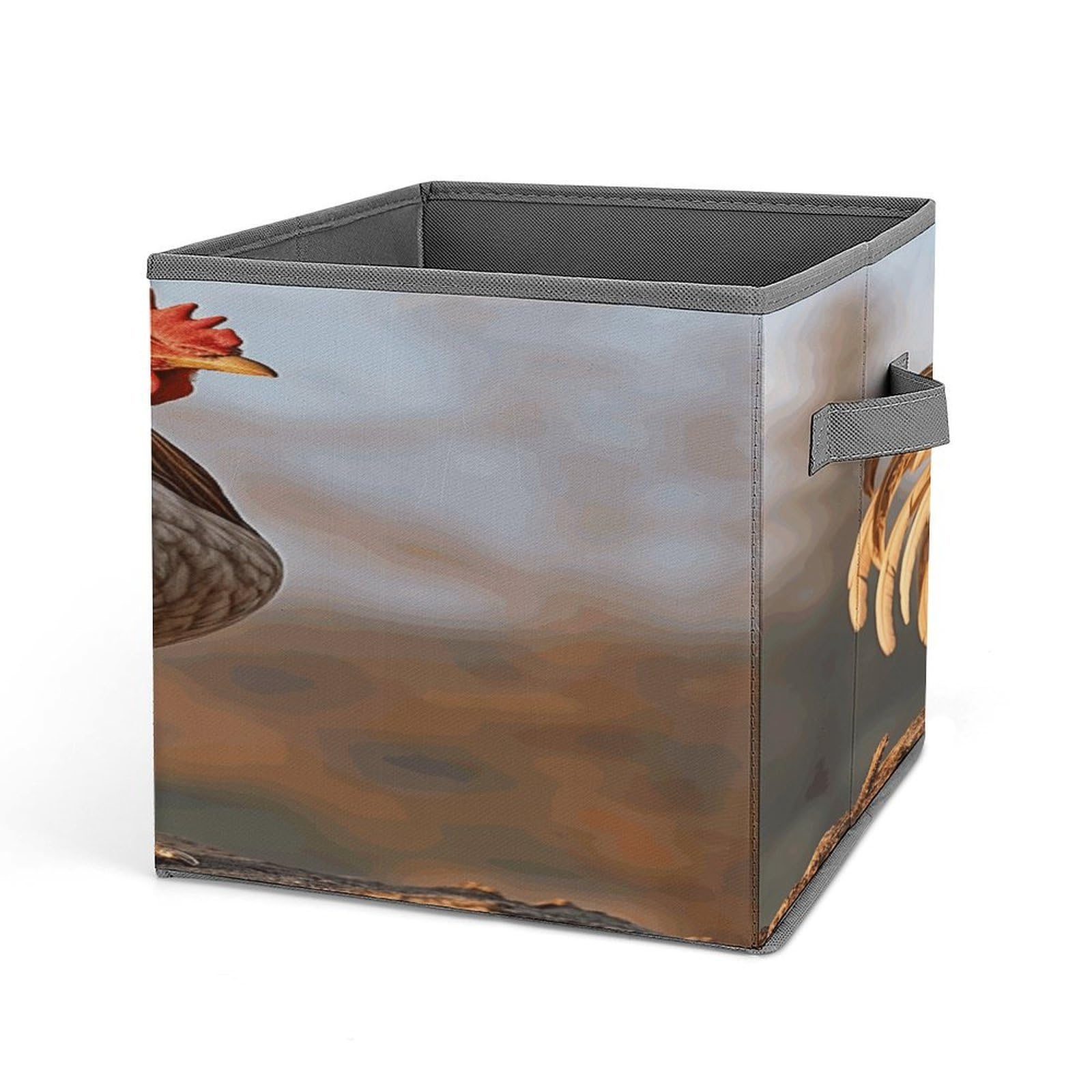 Fodpand Style Farm Rooster Storage Cubes Foldable Decorative Fabric, Storage Bins Baskets With Handles, Closet Organizers And Storage For Home, Office,Closet, Clothes