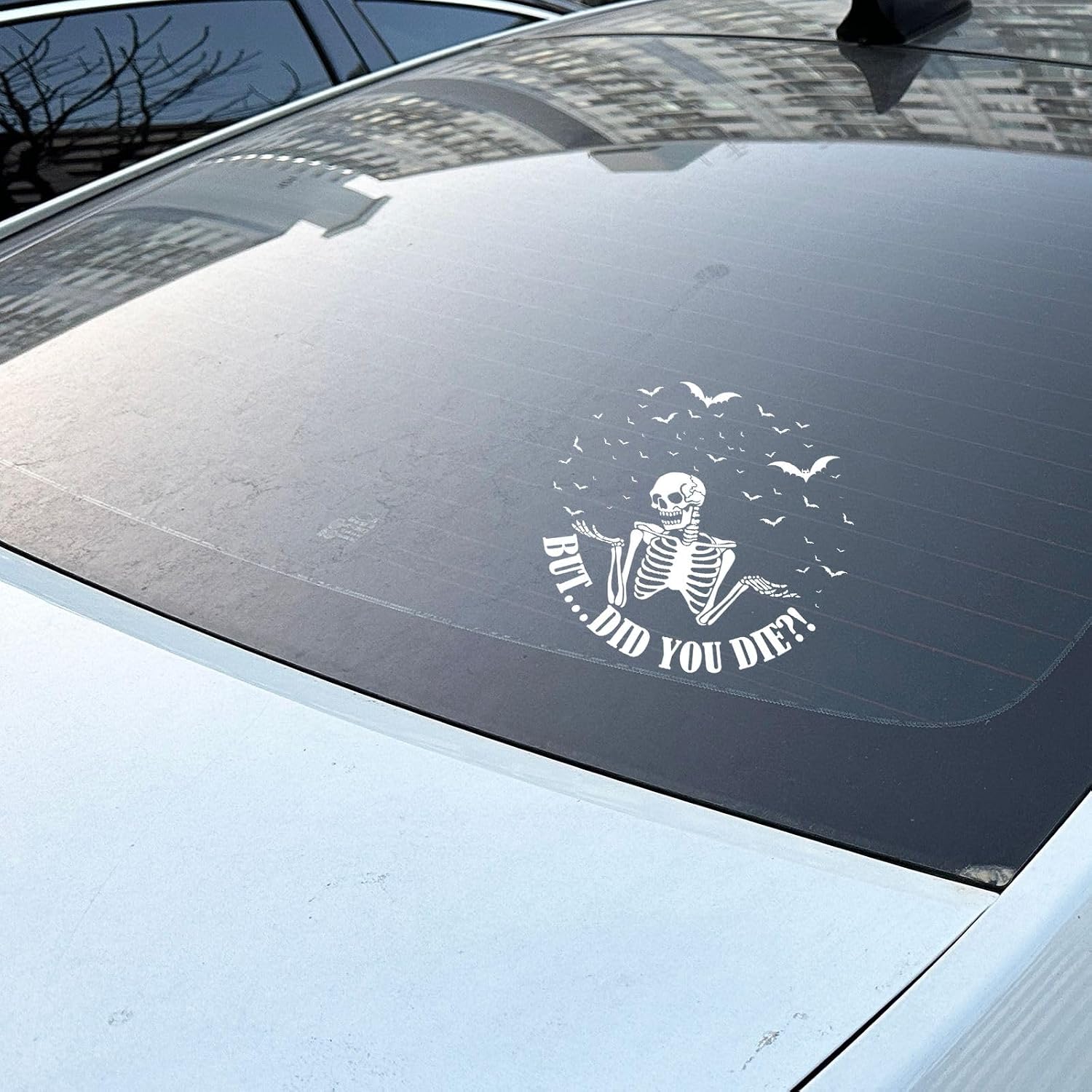 5pcs But Did You Die Bumper Sticker Funny Skeleton Car Decal for Truck Window Vehicles, Motivational Quote Sticker for Inspiring Women Men (7x7)