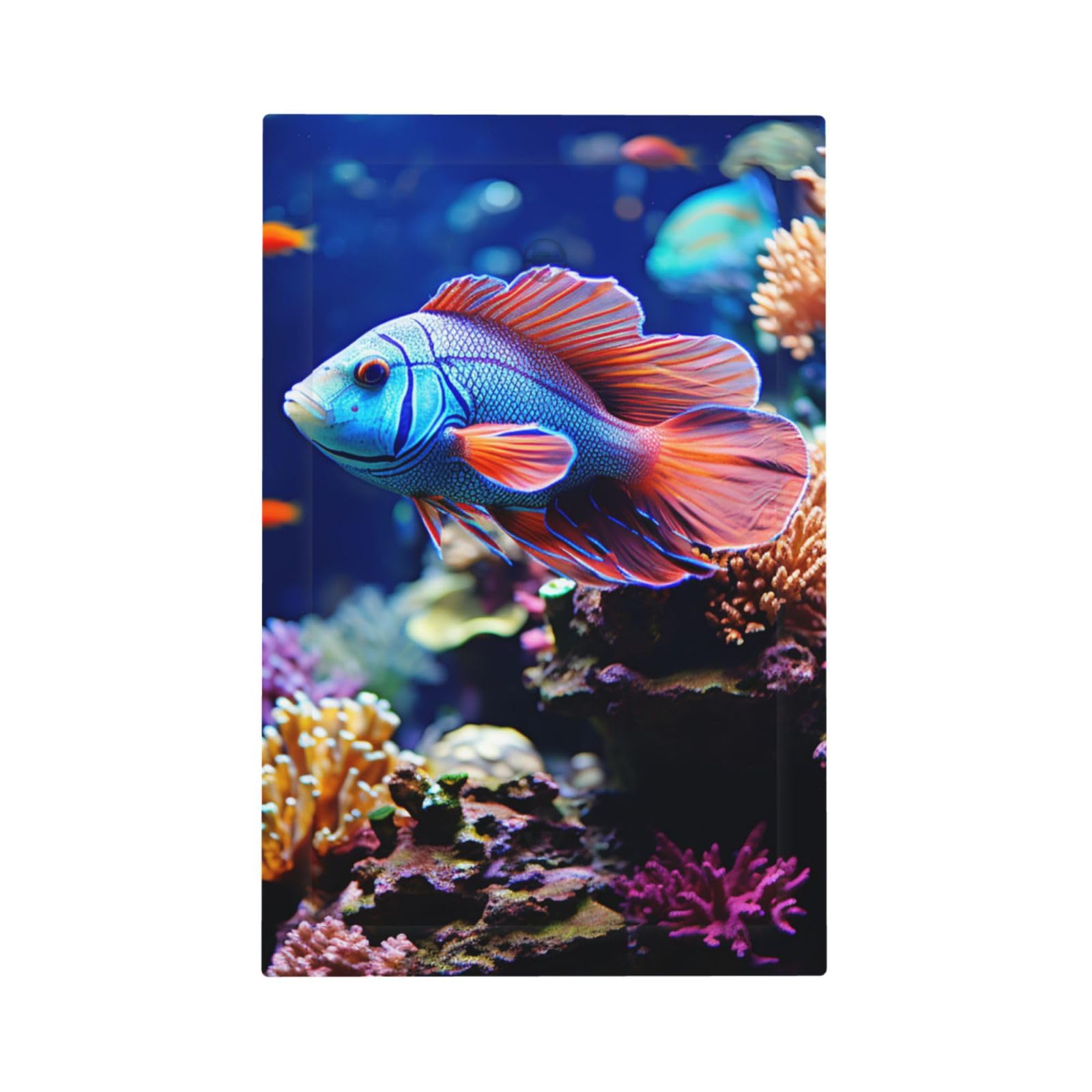 Decorator Wall Plate 1 Gang Light Switch Covers Coral Reef Fish Aquarium Wallplate Single Toggle Switch Plate Mid Size 5" x 3" Electrical Outlet Covers Decorative Wall Switch Plate Cover Decor