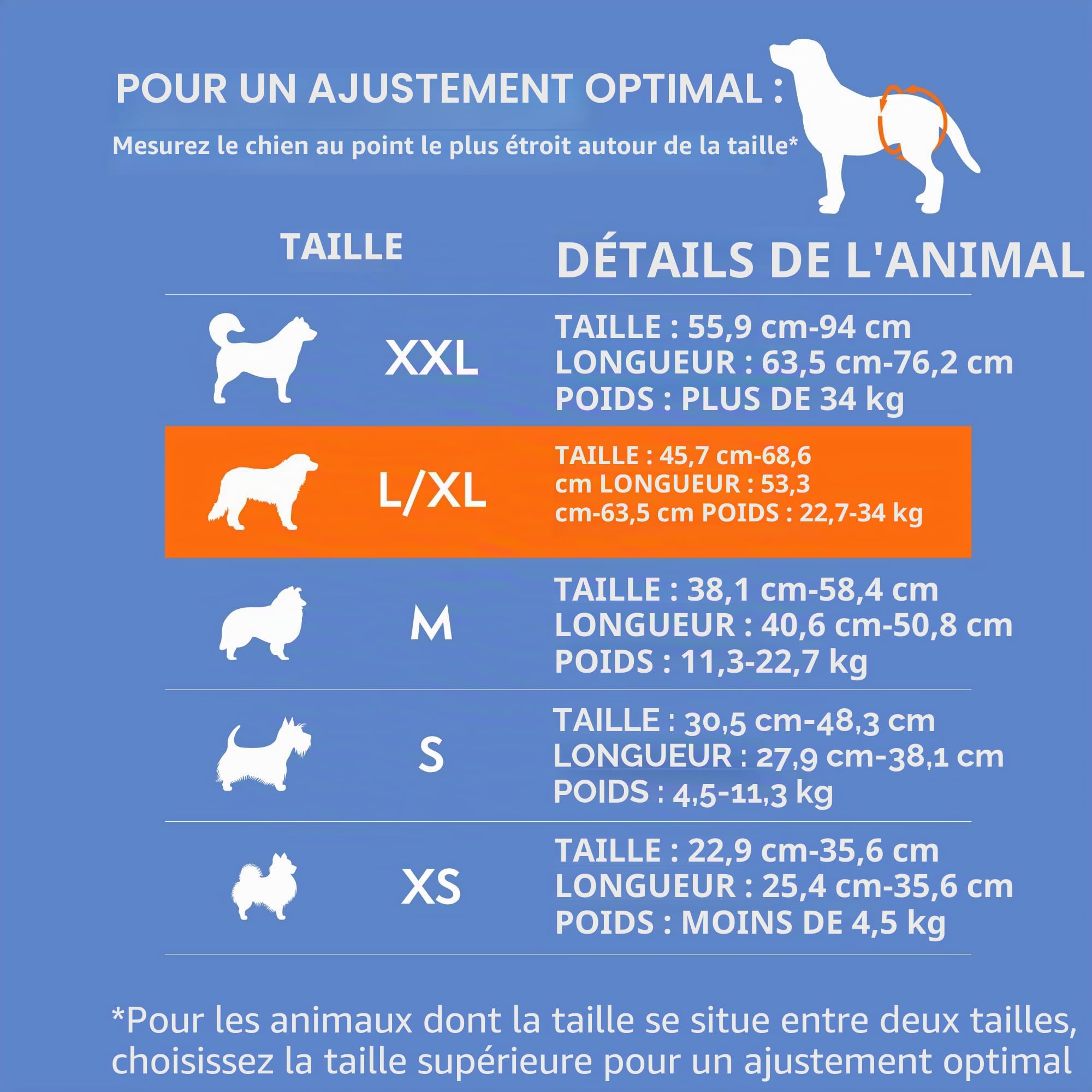 Couche jetable simple pour chien - Super absorbante et anti-fuite - Pour femme - Pour la chaleur, la miction excitante, l'incontinence ou la formation de chiot