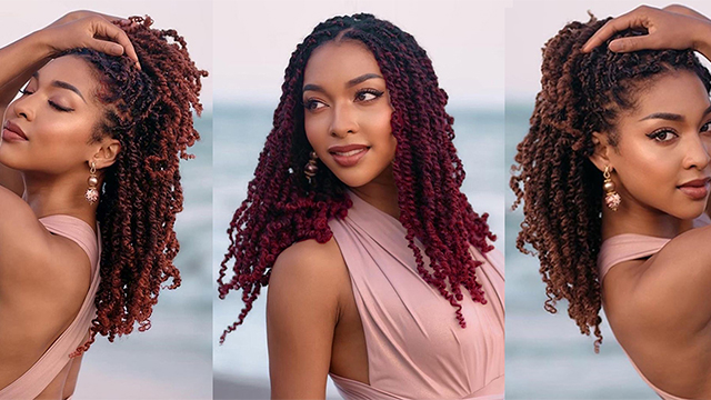 Amazon.com : Leeven 12 Inch Pretwisted Passion Twist Hair 8 Packs