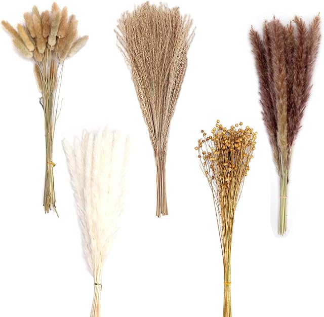 Natural Dried Pampas Grass 90 Stems Assorted Dried Flowers for Vase Includes 17 Inch White Pampas Grass, Bunny Tails, Natural Reed Grass,Brown Pampas, Boho Home Decor Ideal for Wedding Decoration
