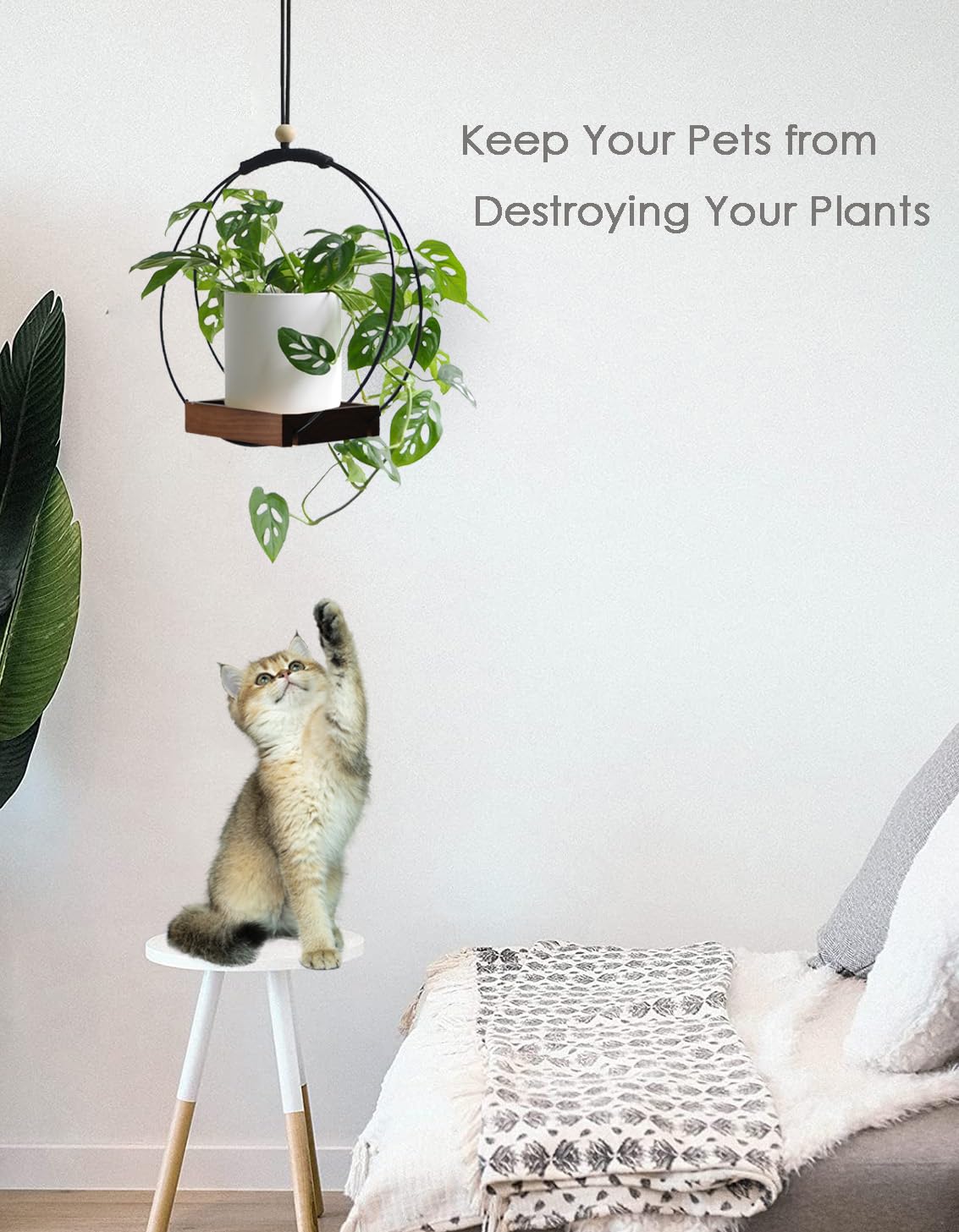 Lot de 2 pots de fleurs suspendus en macramé pour plantes d'intérieur - Support de plante suspendu pour fenêtre, mur, décoration - Marron