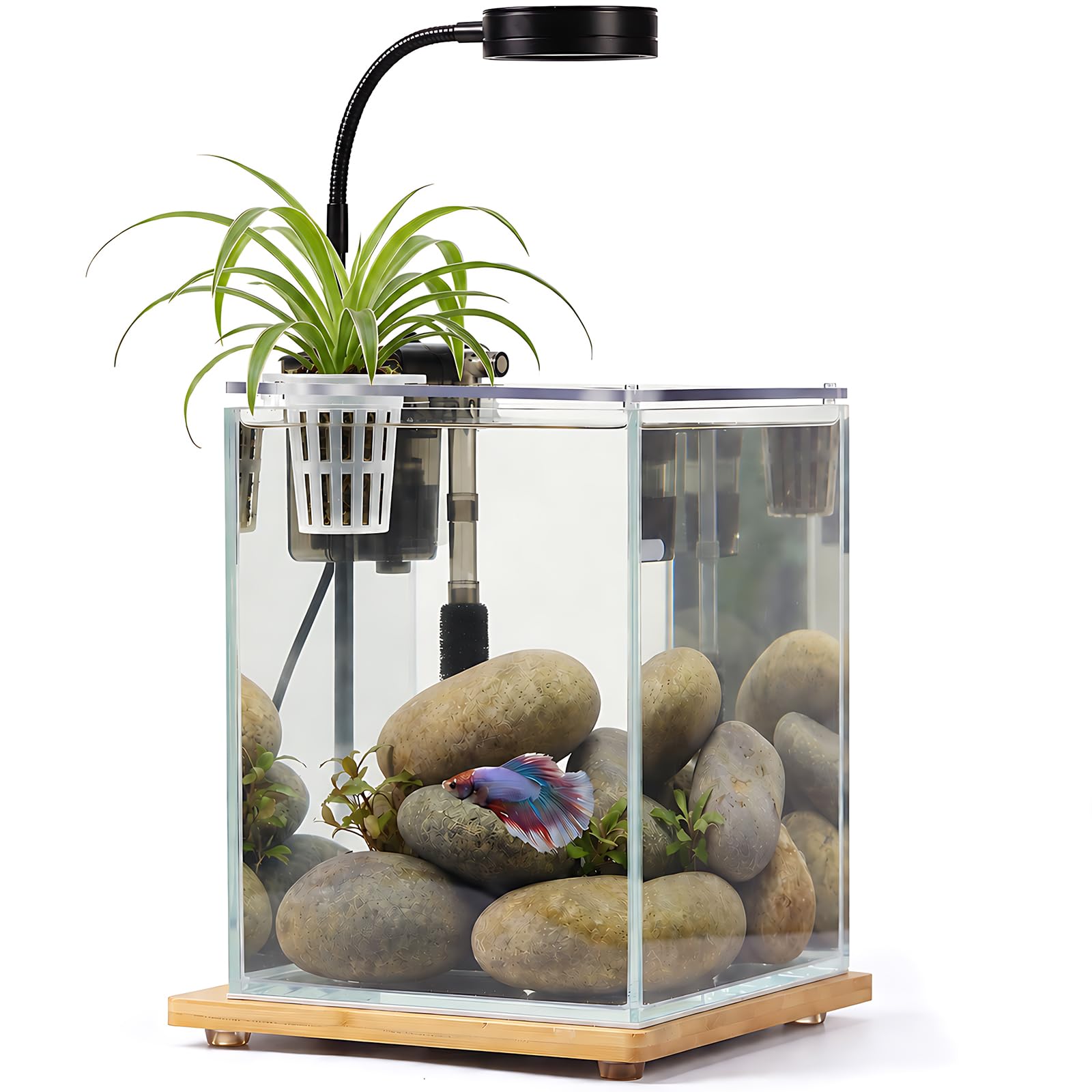Kit de nano acuario de 2.5 galones con luz LED de base de bambú y filtro