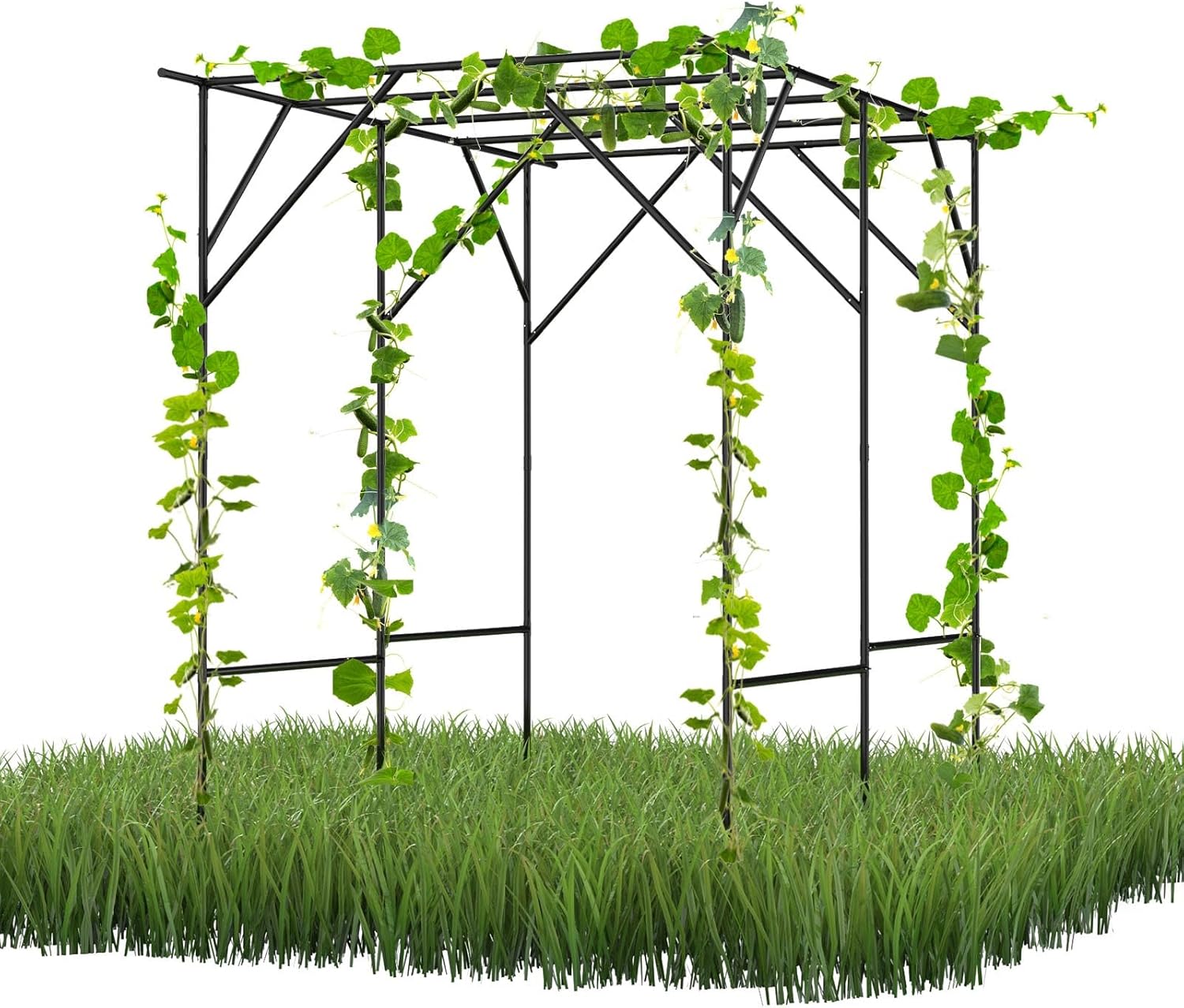 Amazon.com : RUCOIN Grape Vine Trellis - Large Outdoor