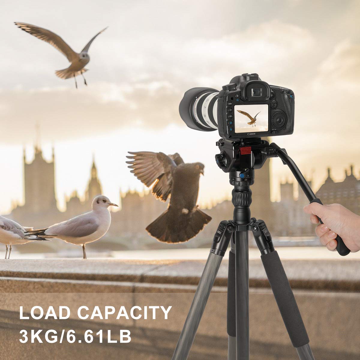 Sirui 2-in-1 Carbon Fiber Video Tripod With Fluid Head | Converts To Monopod, 30.9lbs Capacity