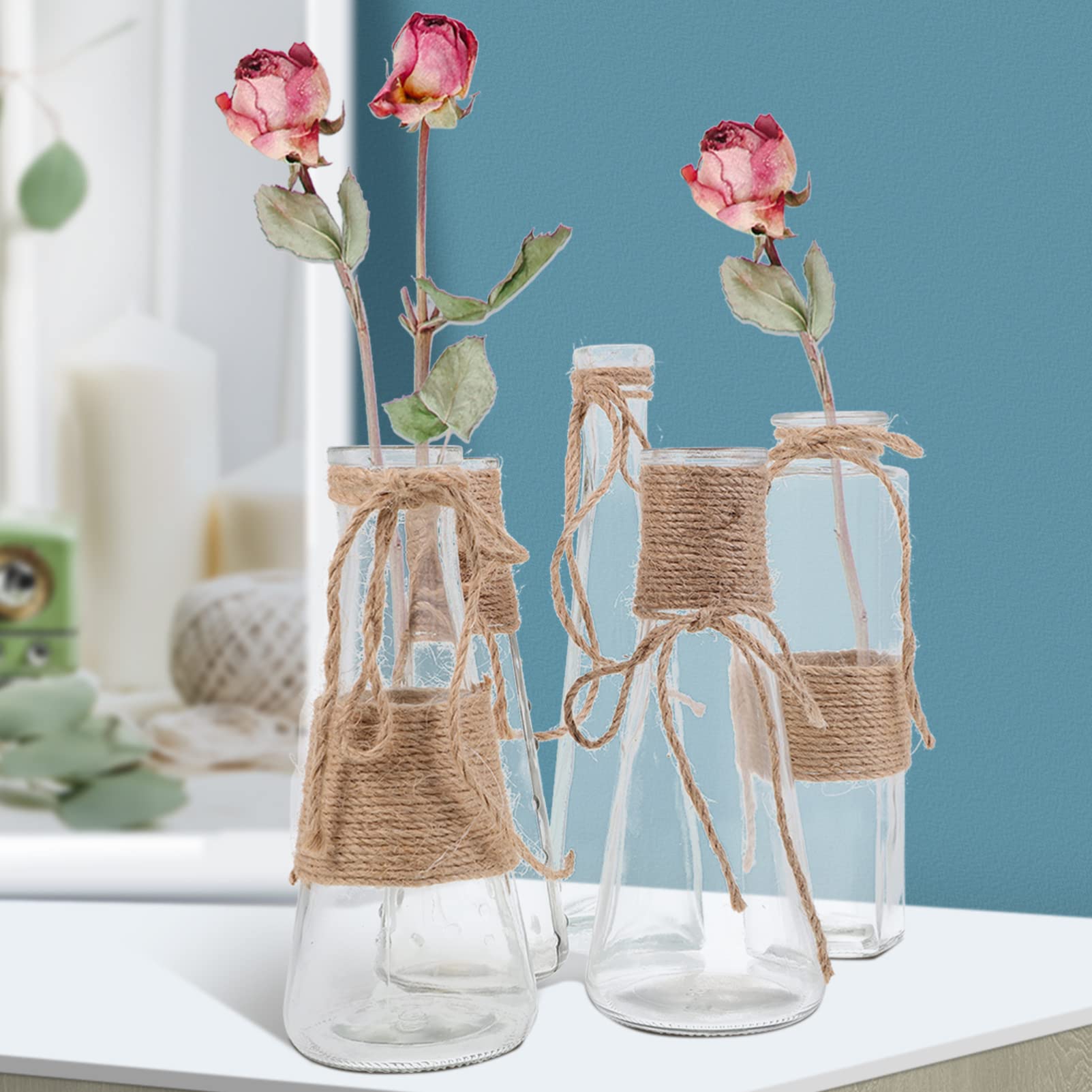 5 Stück Transparente Glasvasen mit Juteseil, Flacher Boden