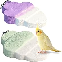2PCS Bird Beak Grinding Stone,Parrot Perch Stand Platform,Green+Purple
