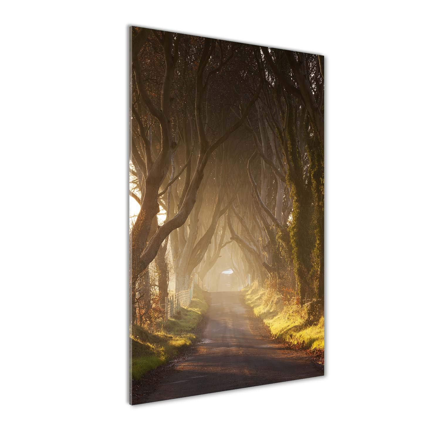 Tableau en verre trempé 70x140cm forêt décoration murale haute définition