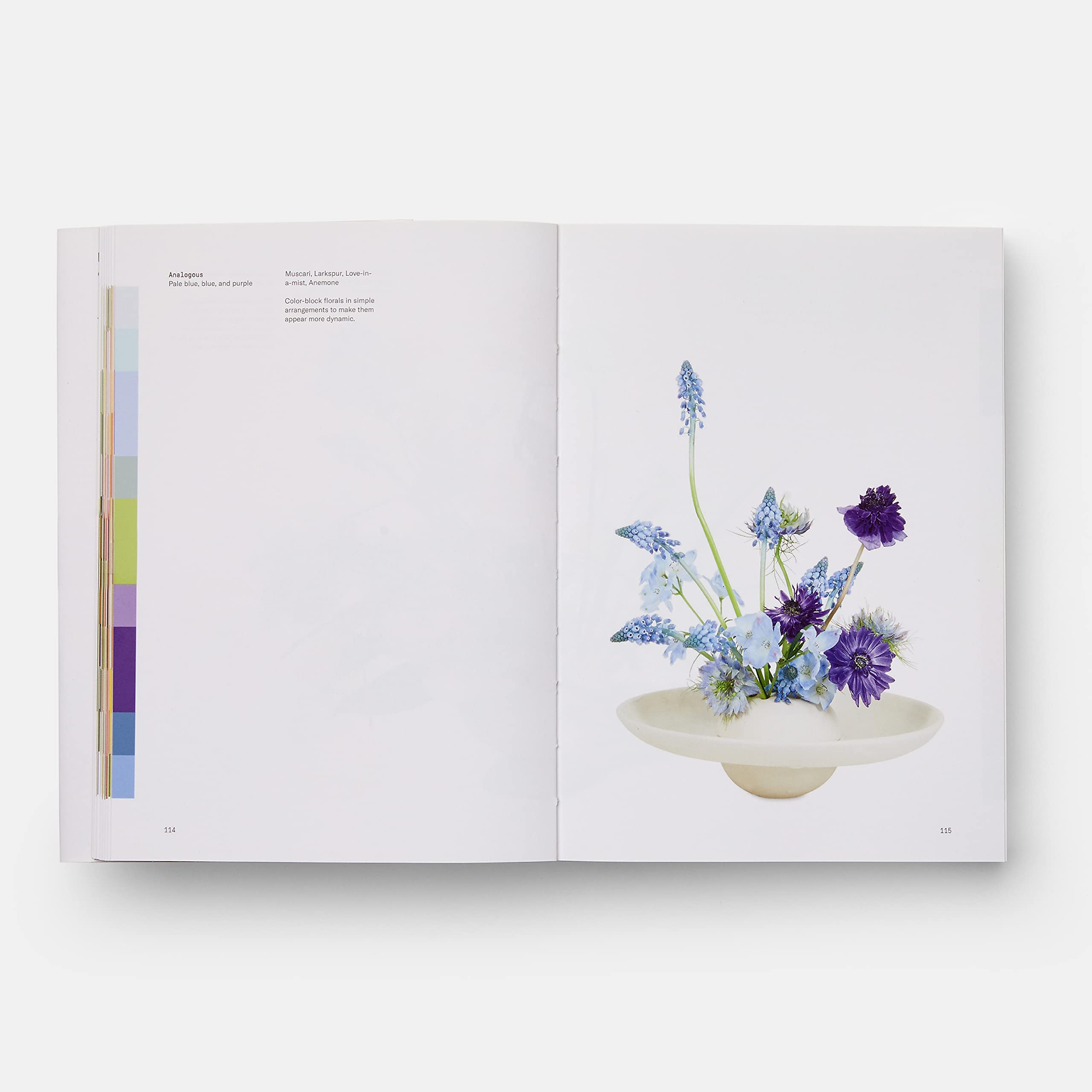 Flower color theory. Ediz. a colori