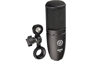 AKG Perception P120 Professional Studio Microphone