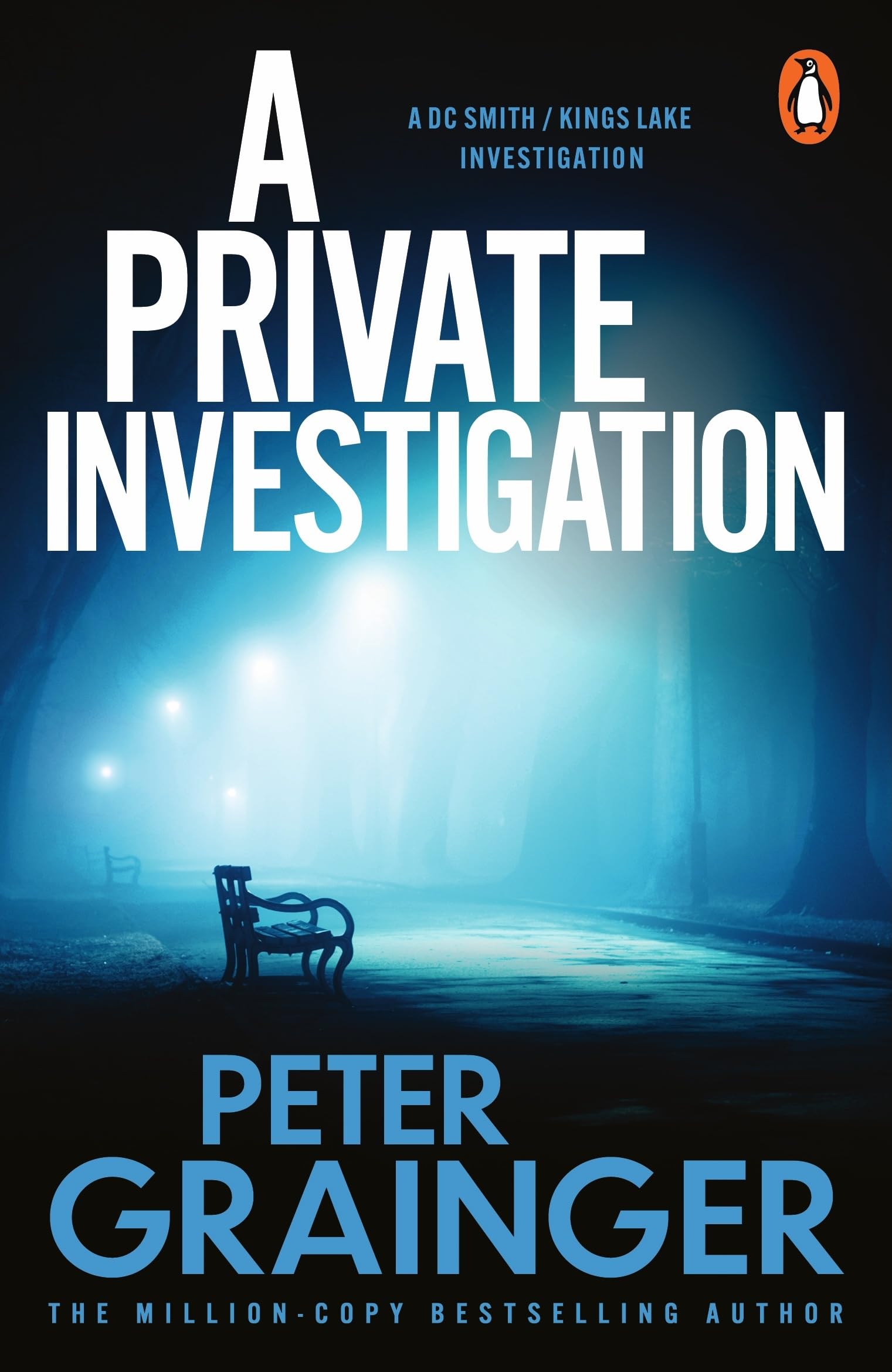 A Private Investigation: The gripping detective mystery from the million-copy-selling crime author (A DC Smith / Kings Lake Investigation Series, 8)