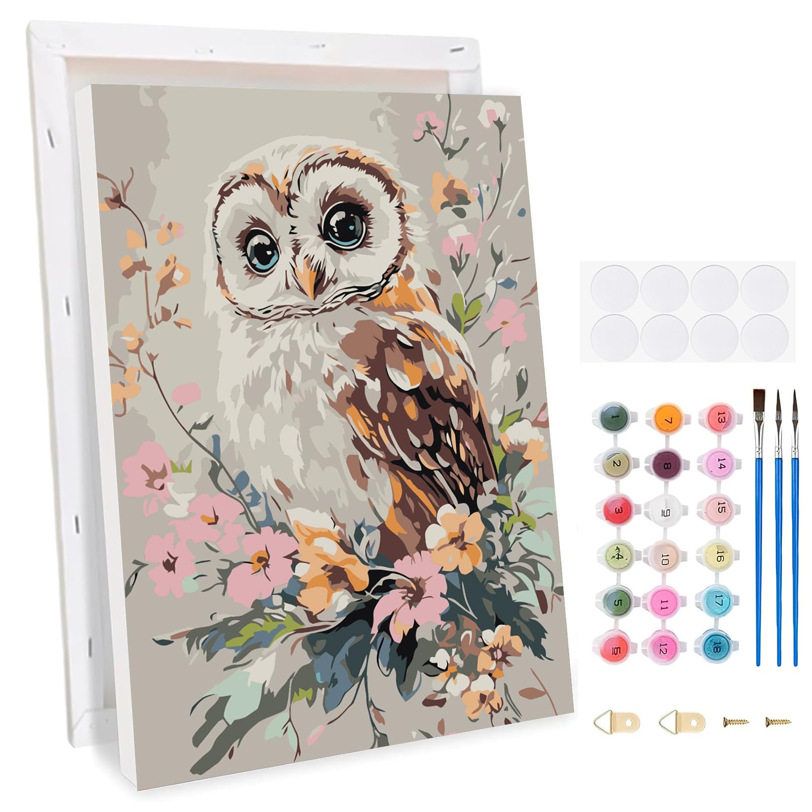 TLIOBLO Chouette Peinture par Numéros avec Cadre pour Adulte, DIY Animaux Peinture pour Adultes Enfants Débutants Facile sur Toile avec Peintures et Pinceaux, Décor Maison Cadeaux 20x30cm