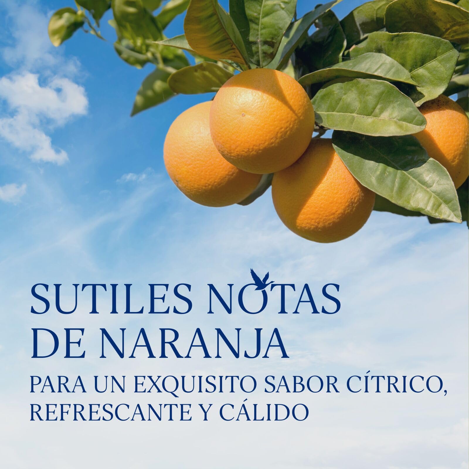 GREY GOOSE L'Orange, ALC. 40%, 100 cl / 1 l, vodka francés de elaborado con vodka GREY GOOSE y esencia de naranjas de Florida