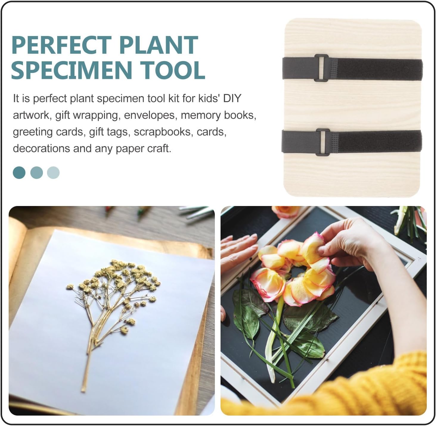 CHICAMPERA Fruit and Plant Leaf Press Set for DIY Specimen Making, A5 Size Plant Pressing Tool for Dried Flowers and Fruits, Arts Crafts Kit for Botanical Pressing and Herbarium Creation