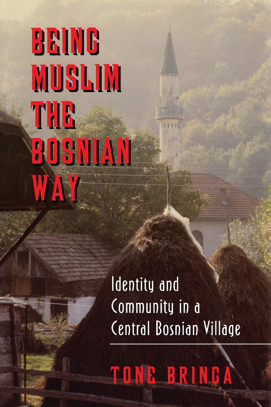 Being Muslim the Bosnian Way: Identity and Community in a Central Bosnian Village (Princeton Studies in Muslim Politics): 3