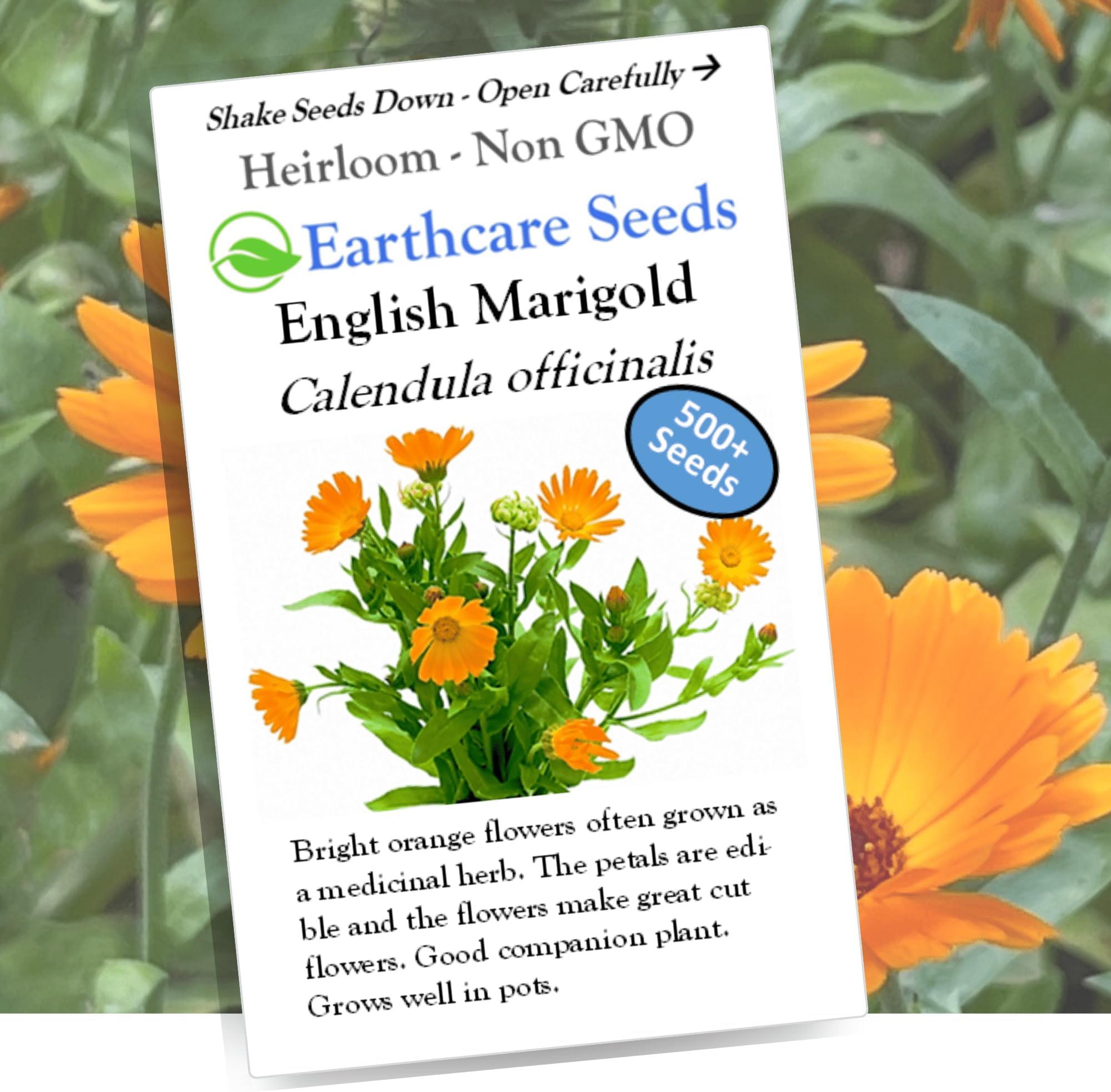 – 500 English Pot Marigold Seeds (Calendula officinalis) Heirloom, Edible Blooms, Pollinator-Friendly, Non-GMO, Open-Pollinated