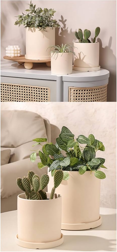 Amazon | 植木鉢 陶器鉢 素焼き植木鉢 ベージュ屋内植物用 セラミック Amazon | 植木鉢 陶器鉢 素焼き植木鉢 ベージュ屋内植物用 セラミック