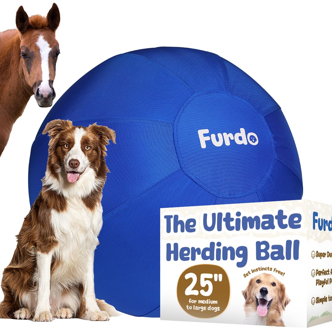 Blue Herding Ball 25"
