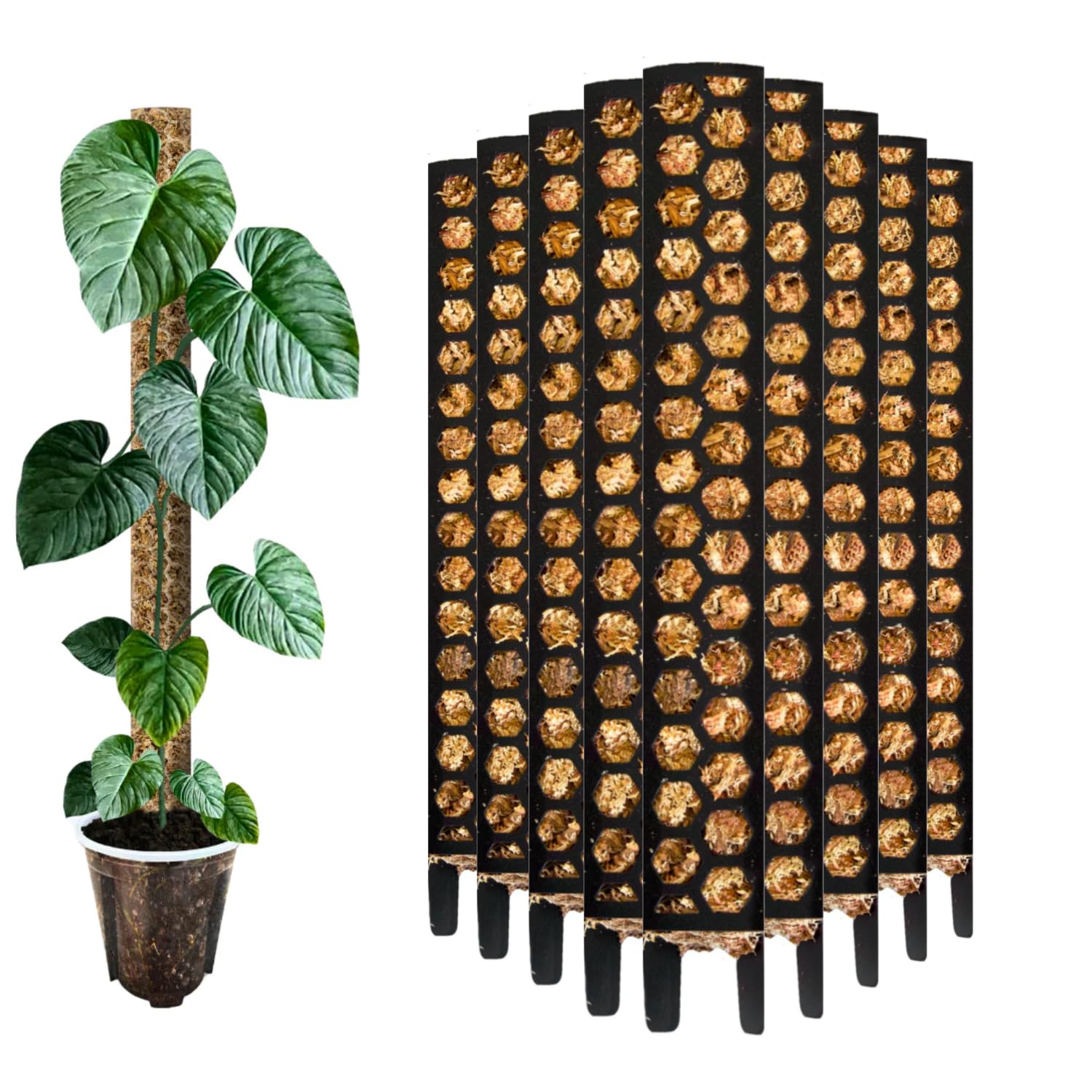Moosstab 30 cm (S) 10 Stück, Schwarz – Moss Pole, erweiterbare Rankhilfe für Monstera & Kletterpflanzen, Pflanzenstab für Indoor Pflanzen