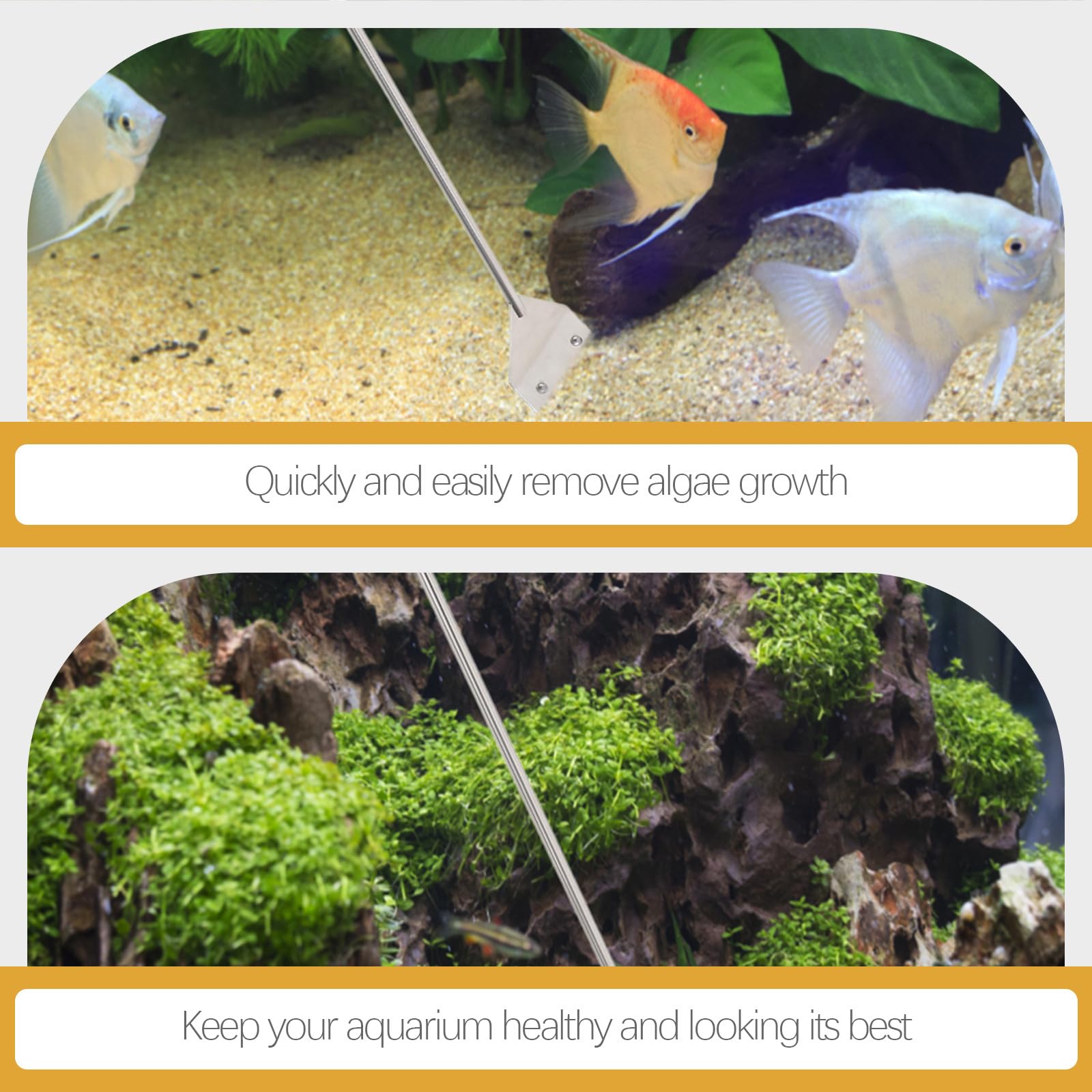 Abaodam Kit D'outils D'aquascaping et Grattoir à Algues Verre pour Nettoyage Rapide Pince et Ciseaux pour Aquarium en Métal Argenté