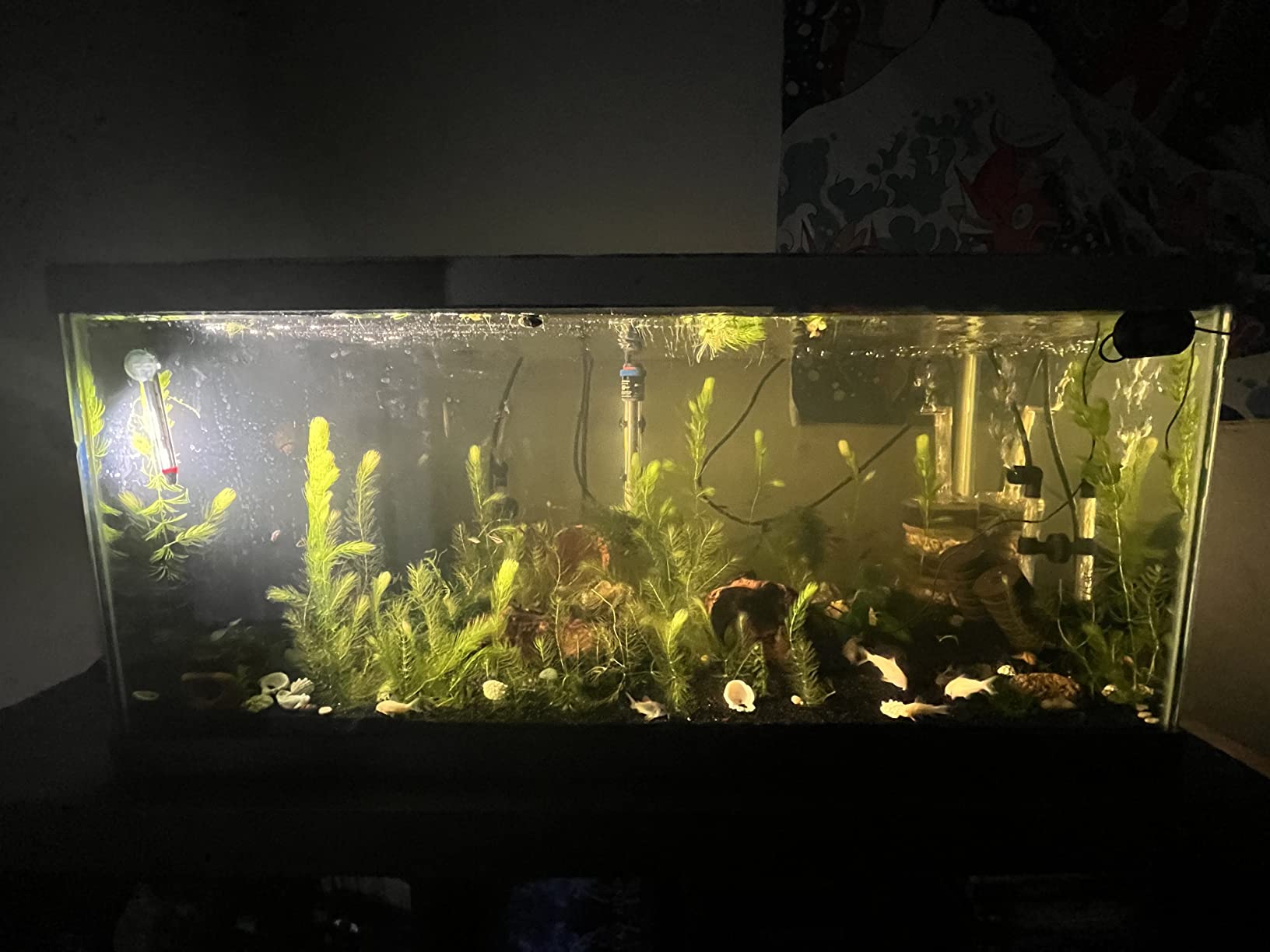 8/mo Finance hygger Full Spectrum Aquarium Light with Aluminum Alloy