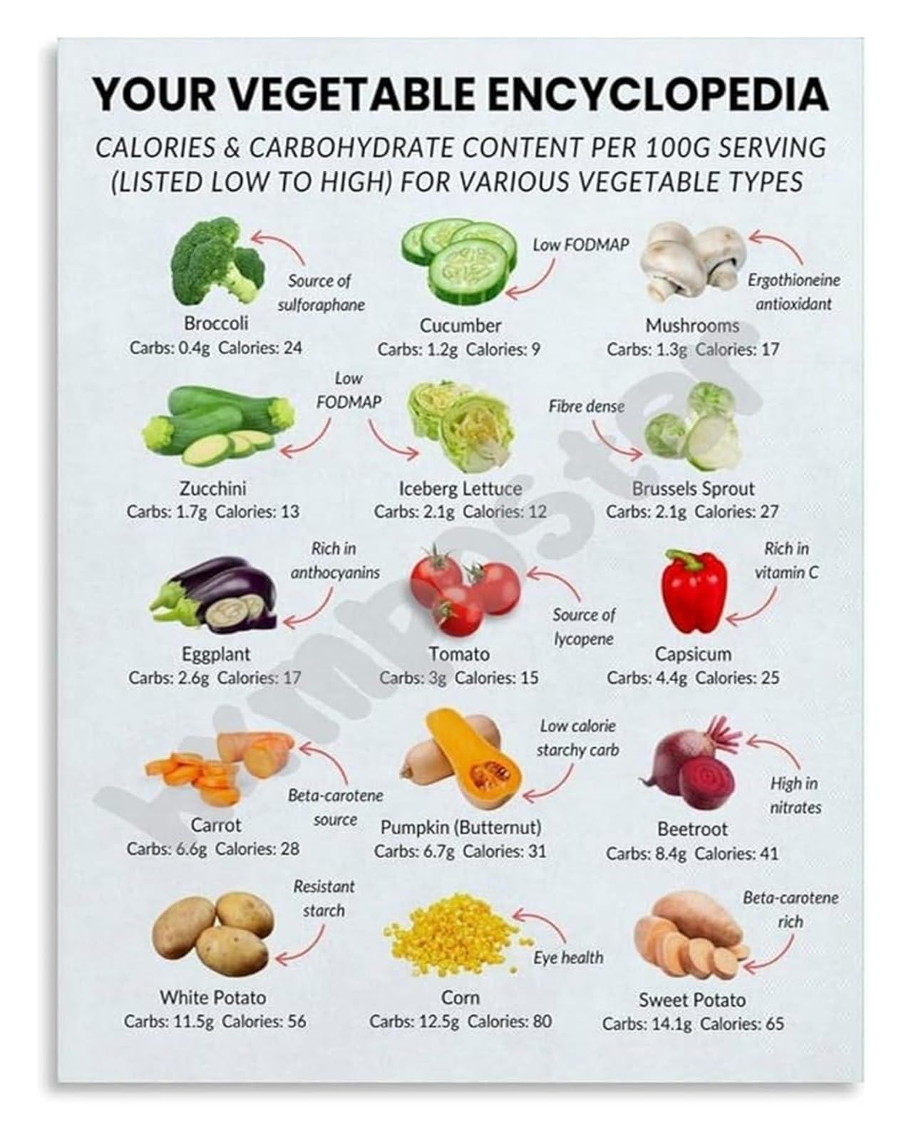 FOPURE Vegetable Encyclopedia Poster Complete Guide to Veggies Nutrition Facts and Health Benefits Educational Wall-Art(Framed,08x12inch(20x30cm))