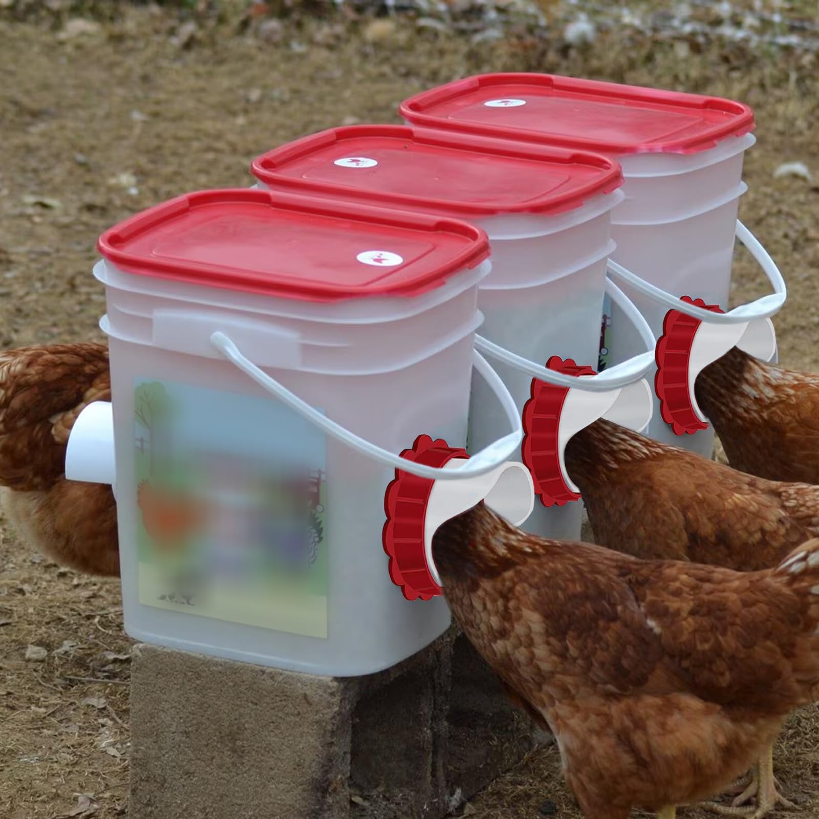 6 Pezzi Mangiatoia Per Polli, Mangiatoia Per Galline, Mangiatoie Per Galline Mangiatoia Per Pollame Mangiatoia Automatica Per Pollame Antispreco Resistente Alle Intemperie Per Barili Bidoni Mangiatoie