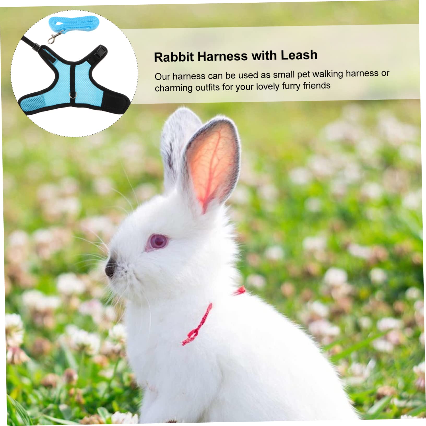 Angoily 2stücke Lovely Bunny Geschirr Mit Leine Set Für Kleine Haustiere Atmungsaktive Weste Für Kaninchen Frettchen Und Ratten Für Und Outdoor-aktivitäten Farben