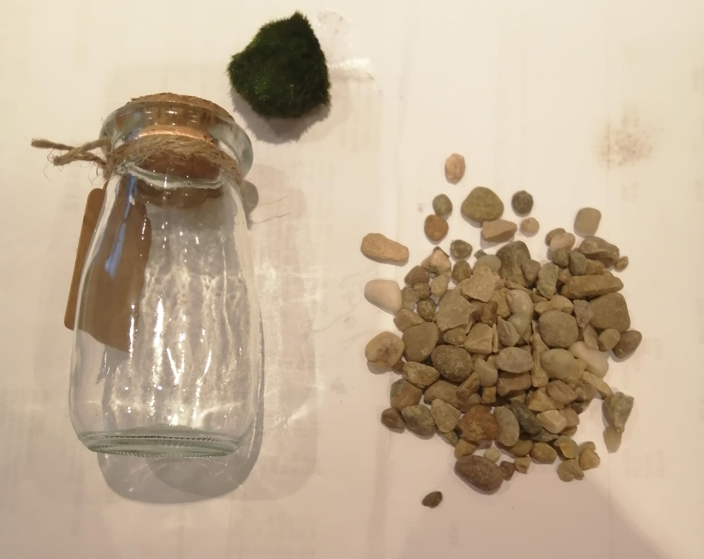 Marimo Moss Ball in Glass Jar - Multi Size & Gravel Colours - Terrarium Kit - Fresh Live Aquatic Aquarium Pet Gift (10cm Jar - Natural Gravel)