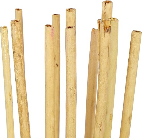 Miniatura 5 de Deco 79 Follaje natural sólido de madera, juego de 3 2 pulgadas de ancho, 57 pulgadas de alto, multicolor