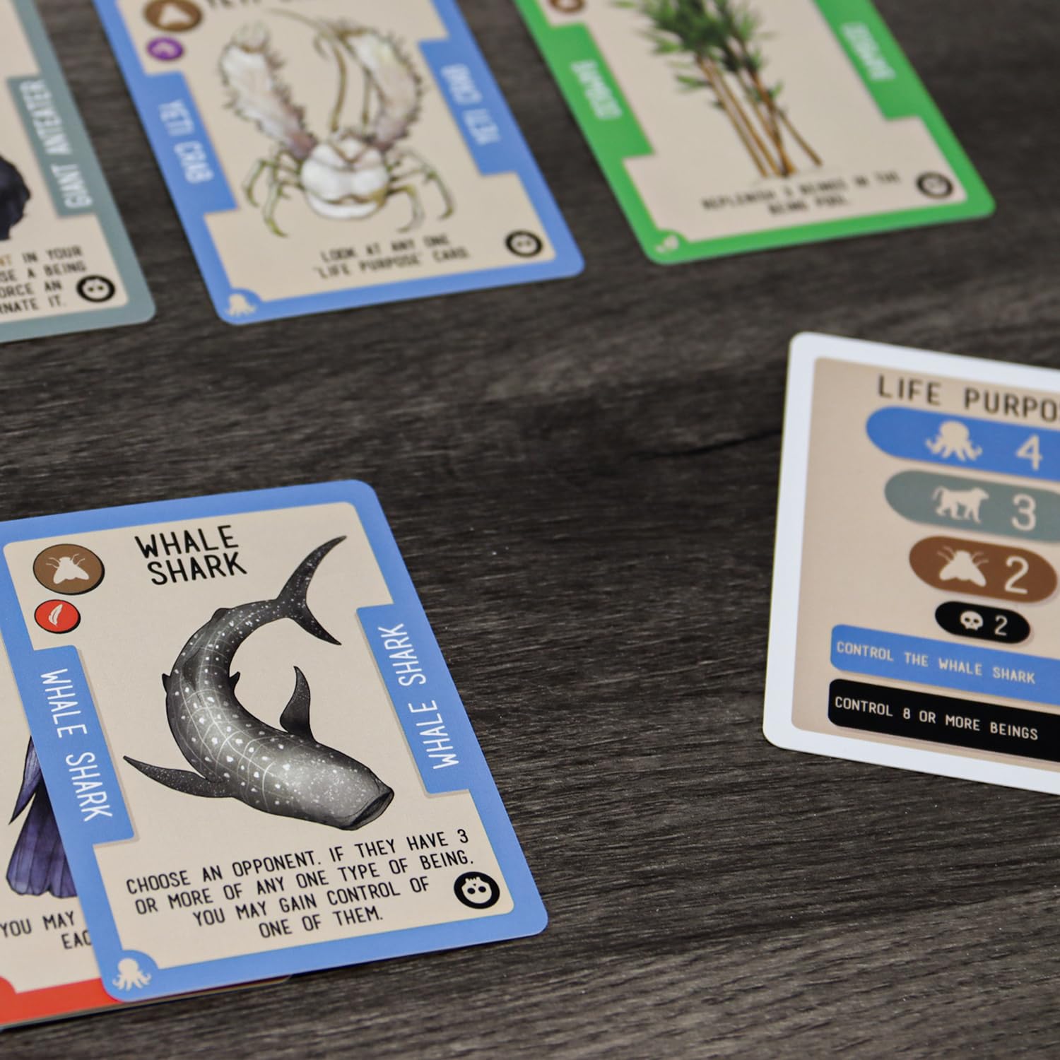 Cenyo Reincardnated by Doolittle Gaming - A Turn-Based Deck Drafting Card Game - Strategy Party Game for 2-6 Players on Family Game Night