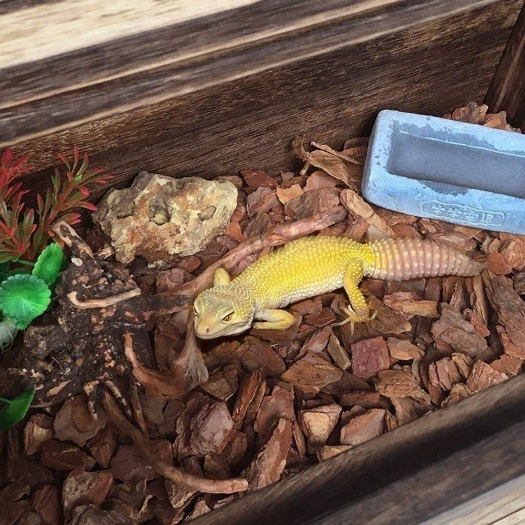 Artykuły dla zwierząt Zbiornik na płazy, Terrarium dla gadów biurowych, Pudełko dla żółwi gadów, Pudełko do hodowli gadów Dom dla zwierząt