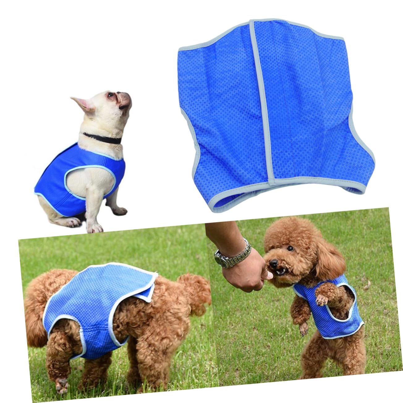 Didiseaon 3pezzi Pet Cooling Dog Ice-cooling Harness Rinfrescante Per Mesh e Traspirante Facile Da Indossare e Lavabile