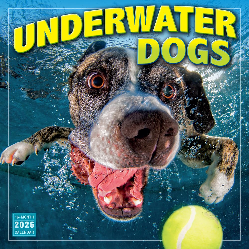 Underwater Dogs 2026 Wall Calendar, 12-Month Funny Dog Photography Calendar by Seth Casteel, 12" x 12", 2026 Wall Planner with Large Grids, Hilarious