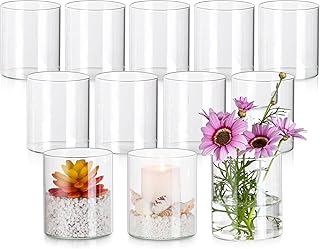 12 Stück Vase Glas 10cm Hohe Glasvasen für Tischdeko,10 x 8,5 cm Glasvase Gross Klar Glasvase Zylinder Runde, Blumen Vasen Glaszylinder Vase Kleine Vasen für Tischdeko, Rosen, Tulpen