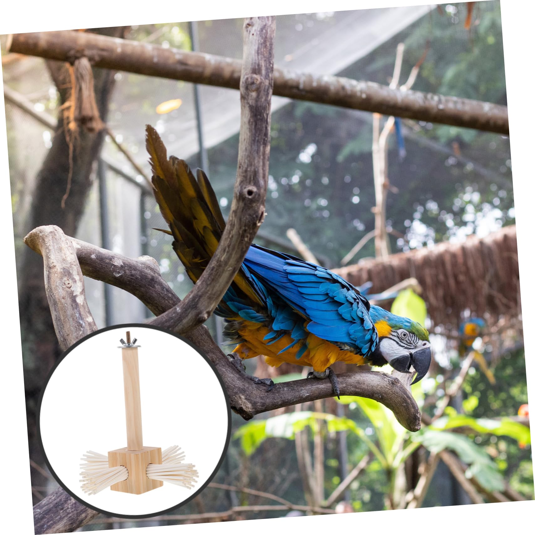 BESPORTBLE 4piezas Percha para Aves Soporte De Jaula para Periquitos y Cacatúas Estable y De Instalar Accesorio para y Ejercicio De Patas